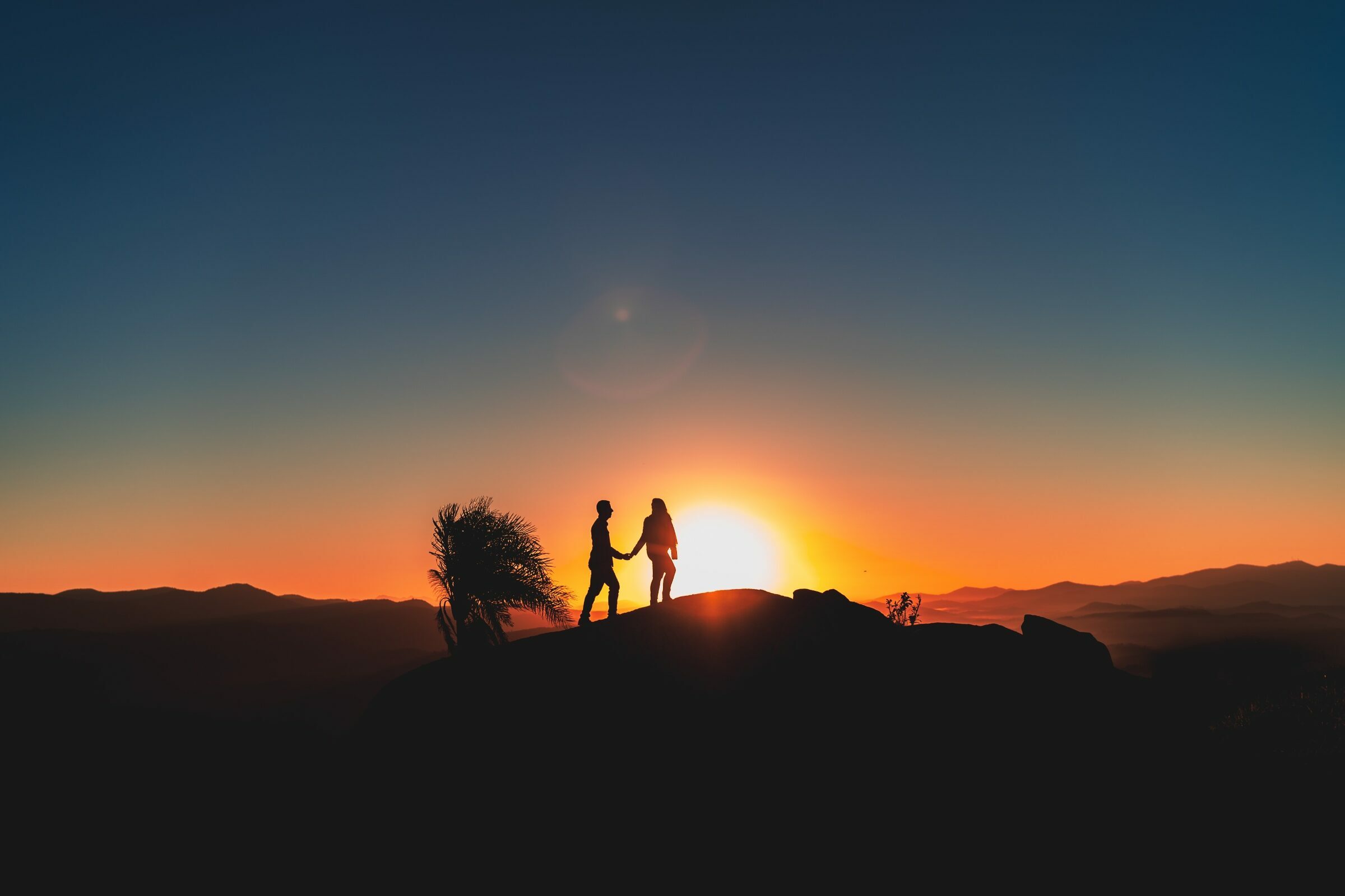 Foto de Le&atilde;o Produtora - Or&ccedil;amento 0